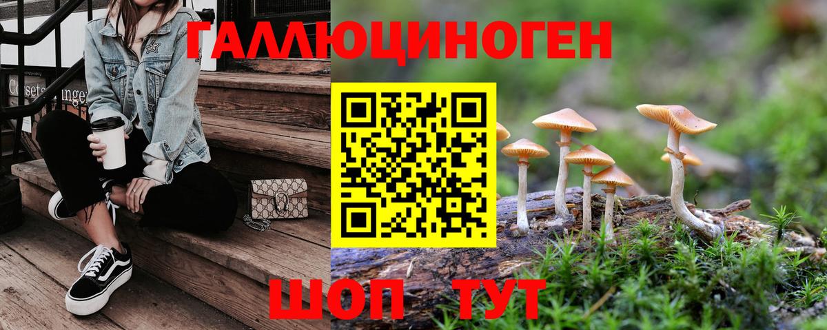 Псилоцибиновые грибы GOLDEN TEACHER  Вход с VPN  Новочеркасск 
